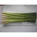 FRESH LEMONGRASS